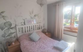 Edinburgh- 2 Double Rooms Available